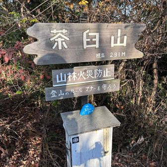 ほどなく
山頂とうちゃこ🙌