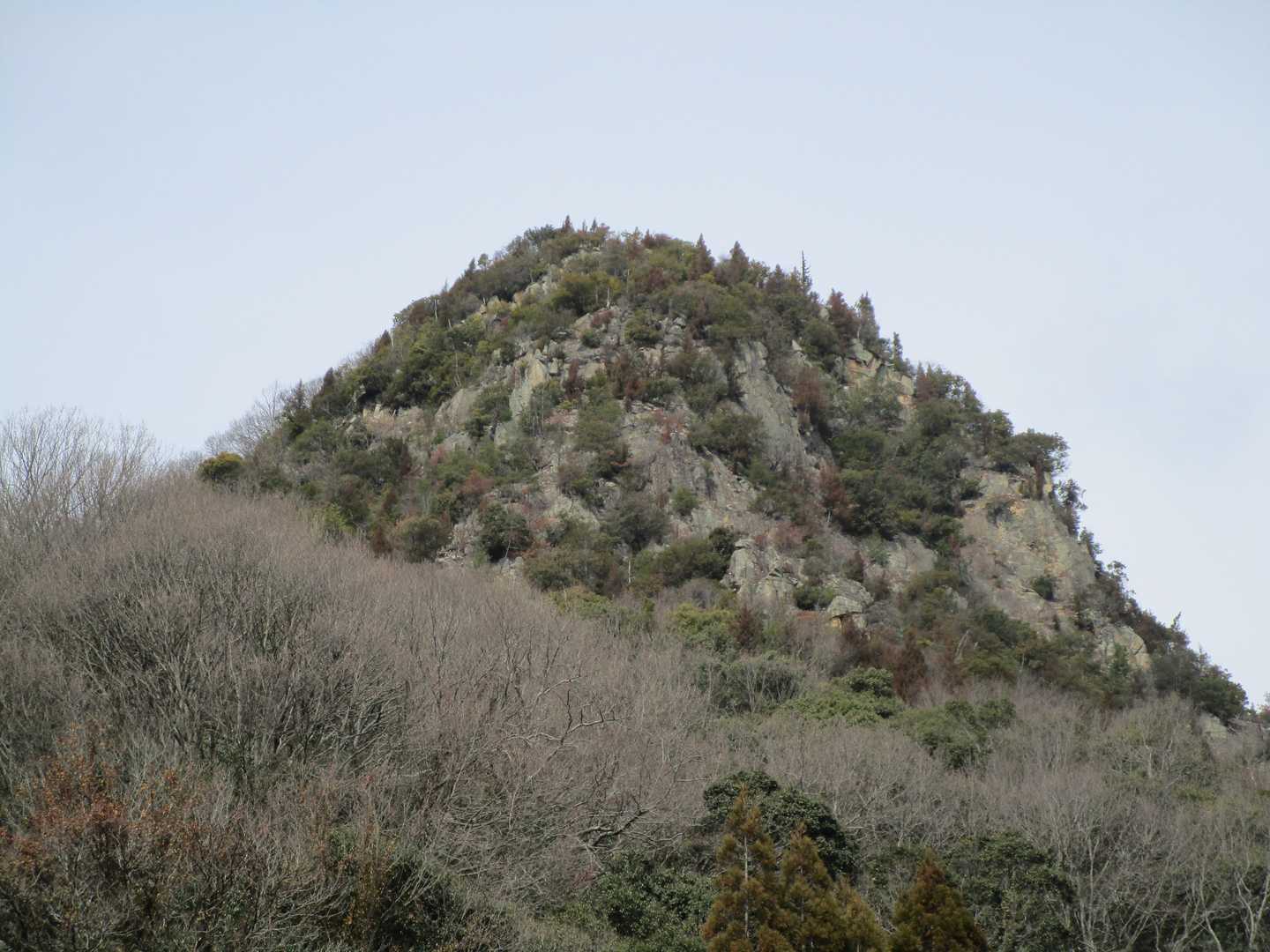 新高山城址を振り返る