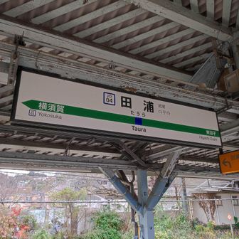 非公開の日誌カバー画像用の写真