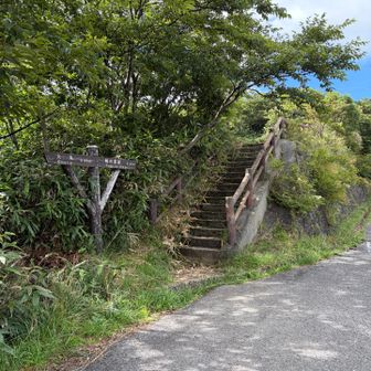この階段から近道をゆく