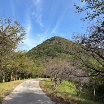 あの山に登るよ