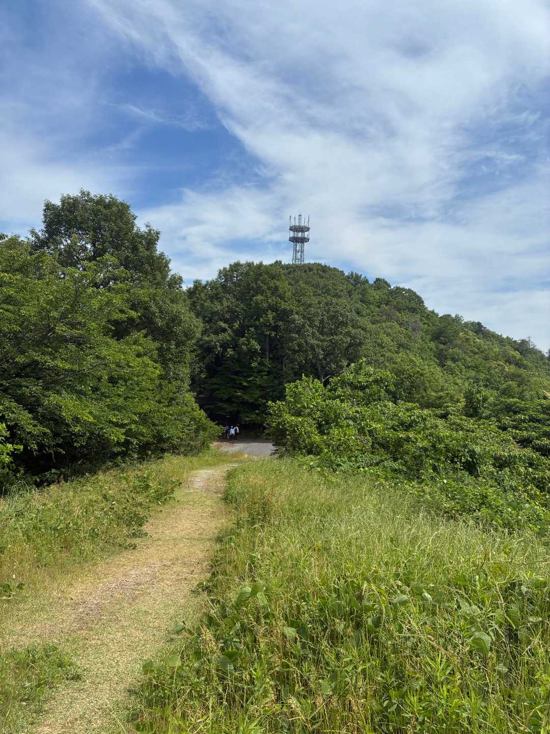 あれは電波塔かな