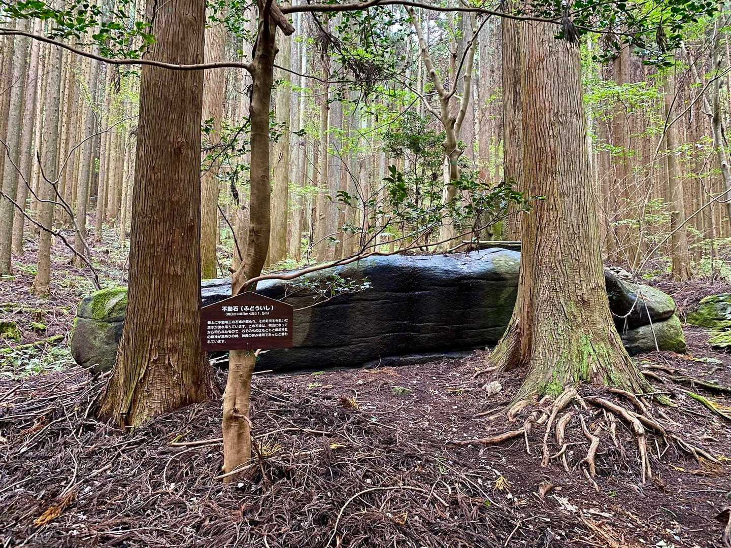 竪破山登山道入口-黒前神社二の鳥居-竪破山登山口-黒前神社 周回コースの写真