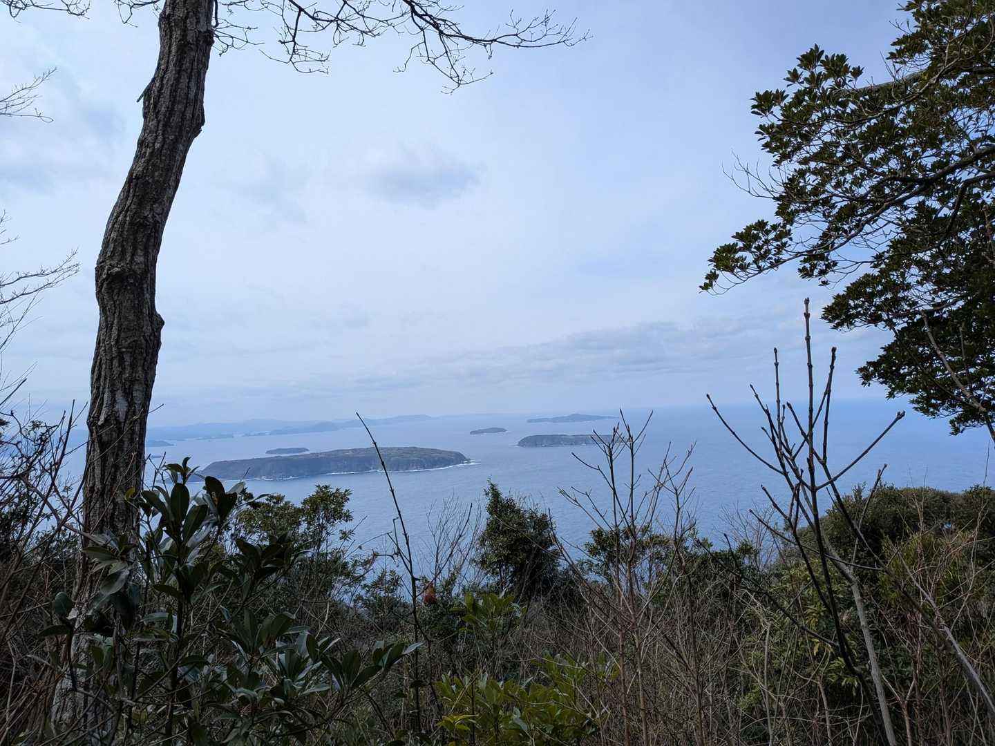 展望も良い👍