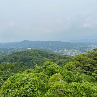 湘南平旧展望台からの眺め
丹沢、大山方面⛰️