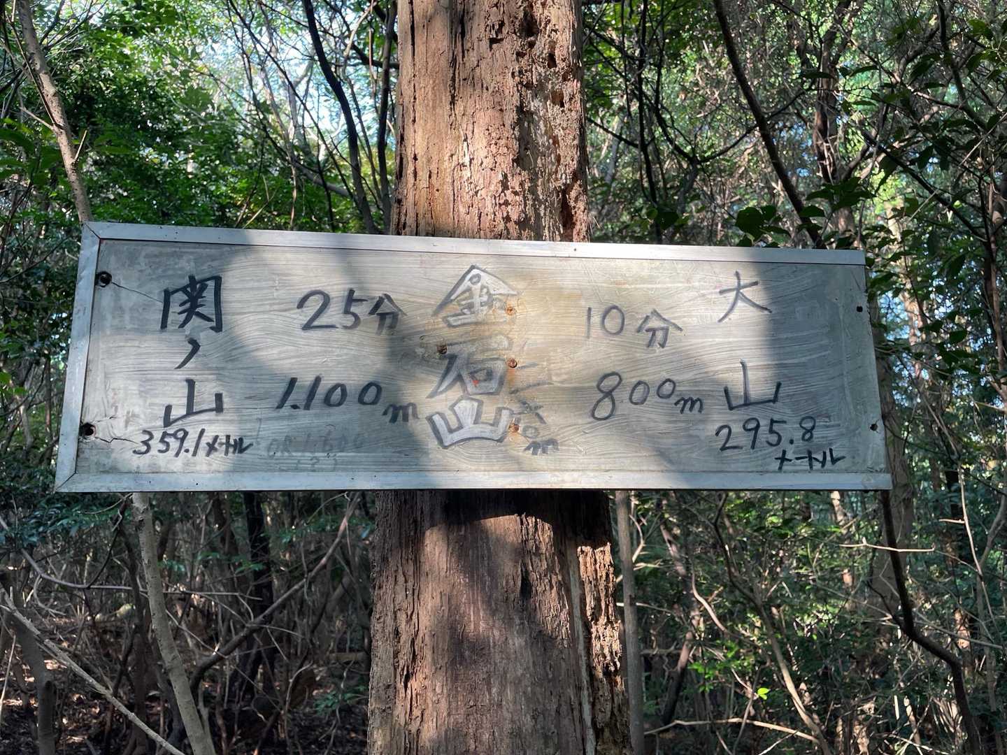 よくわからんけど、金石山登頂🙌