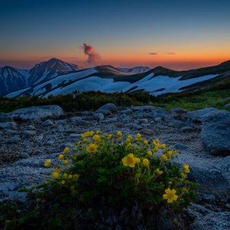 花園の飯豊山💐 / しょーーーーー！！の登山データ | YAMAP / ヤマップ