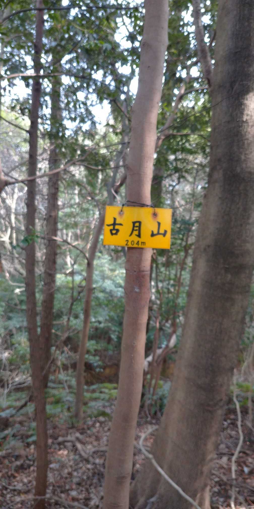 古月山に到着！ここでもモトクロスが５台程通過～♪モトクロスに人気のお山なんですね～(^.^)