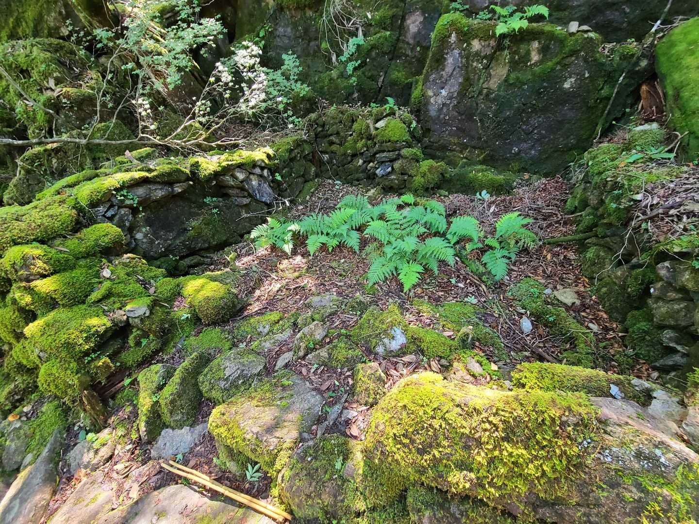 山頂直下の構造物跡❓
何かが祀られていたんだろうか🤔