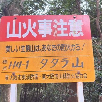 タタラ山