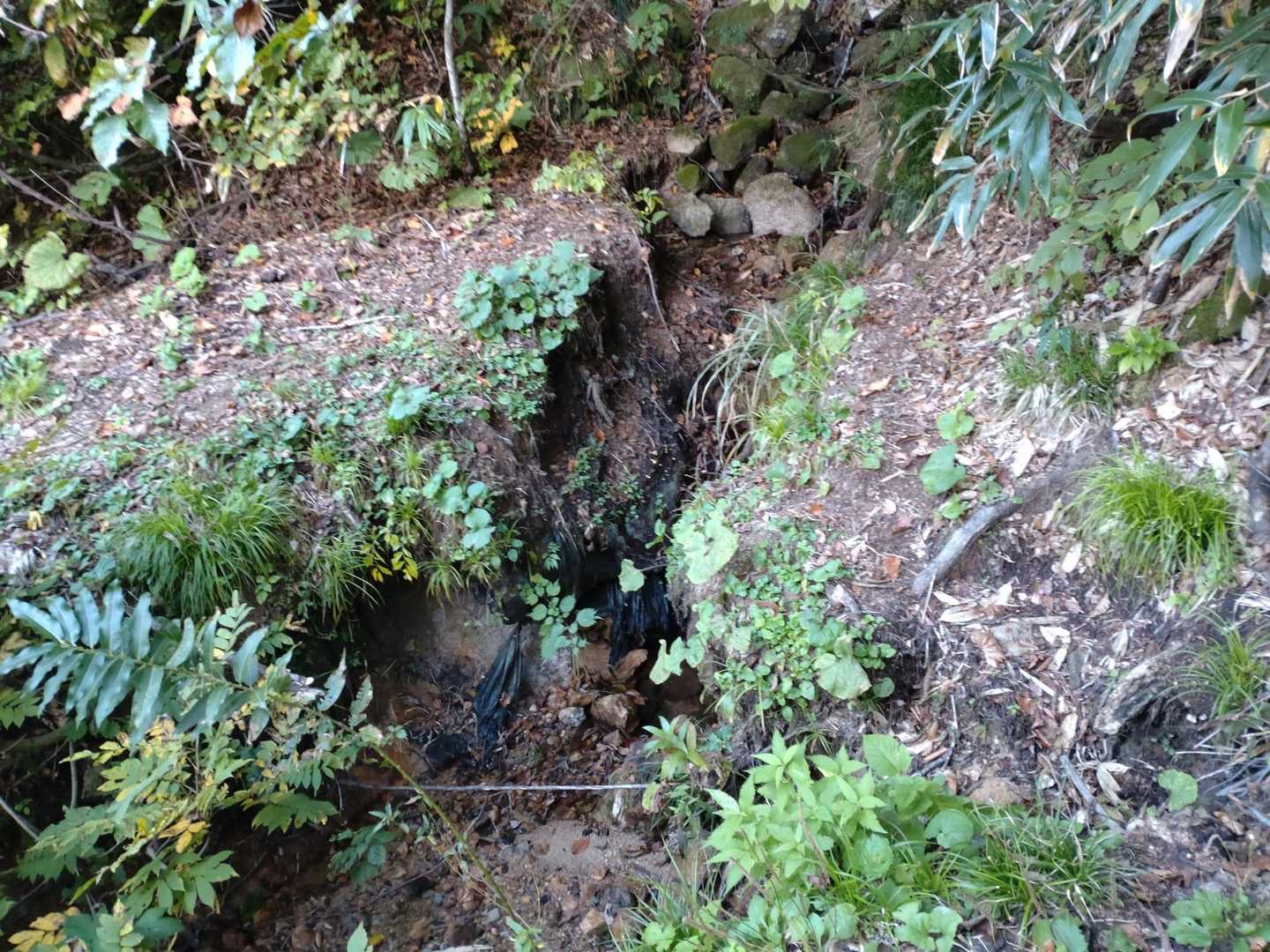 軽い小川を超えて進みます。
一瞬、登山ルートに迷いました
