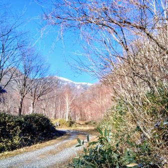 帰ってきたー🙌