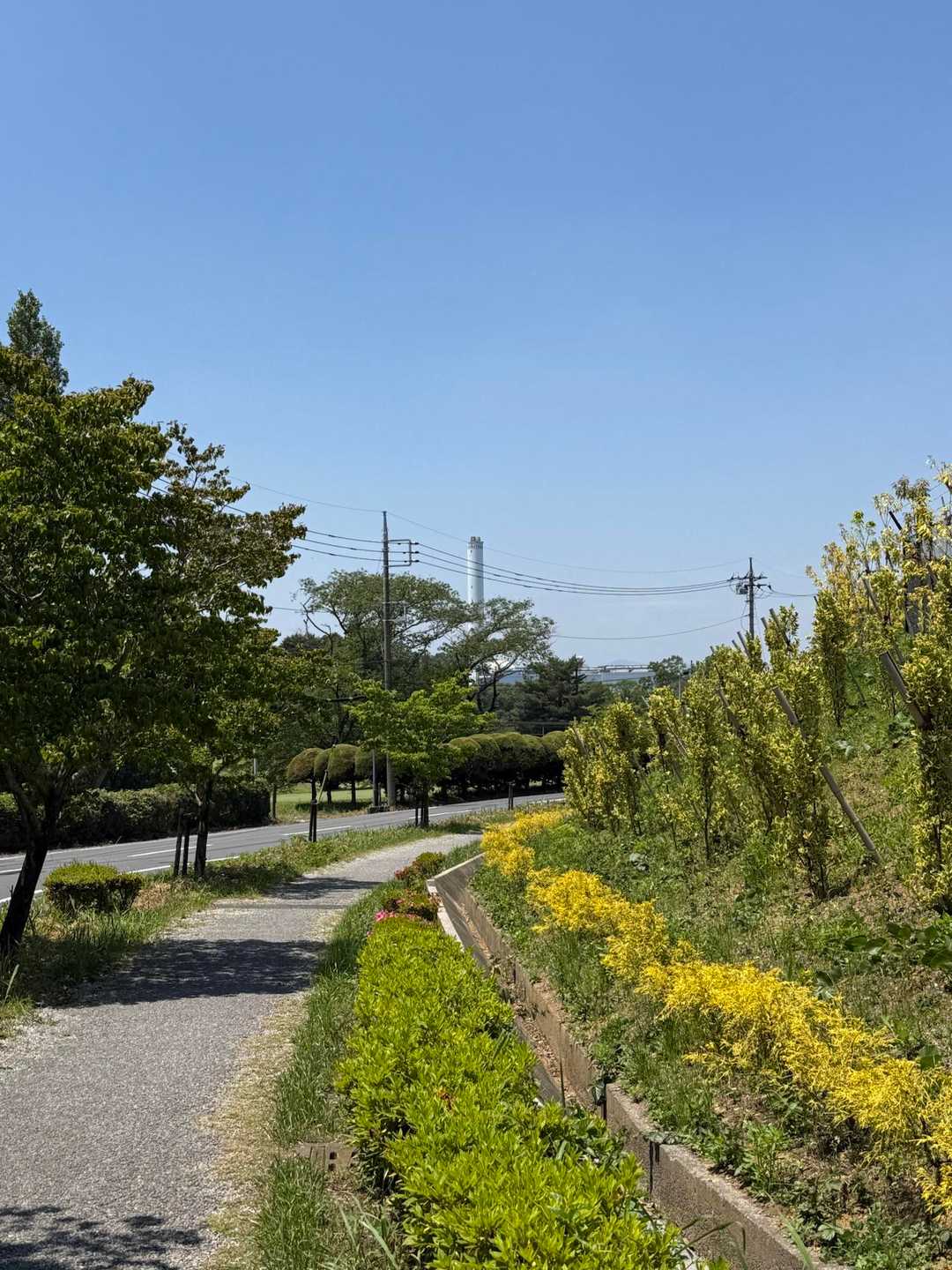 諏訪ヶ岳-古道五差路 縦走コースの写真