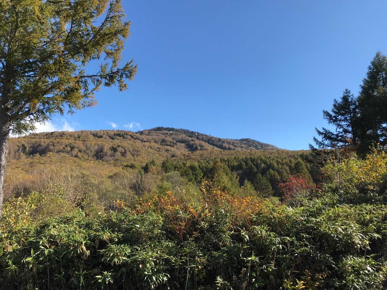 東館山