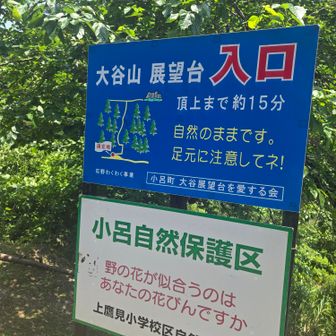やっと登山口