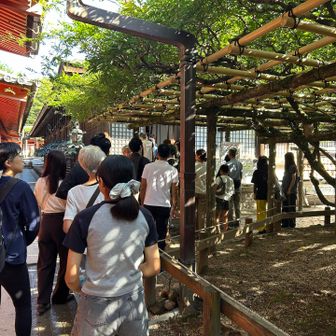 連休で春日大社の朝のお参りにも並んでいます。
普段は土日でも空席が半分ぐらいあります。