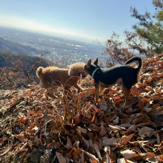 イチャイチャ🥰
