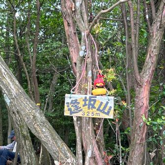 逢坂山325m到着！

ここで昼食🥪🍙(約30分)

逢坂山で写真撮り忘れた！😩
浜大津付近が近い。