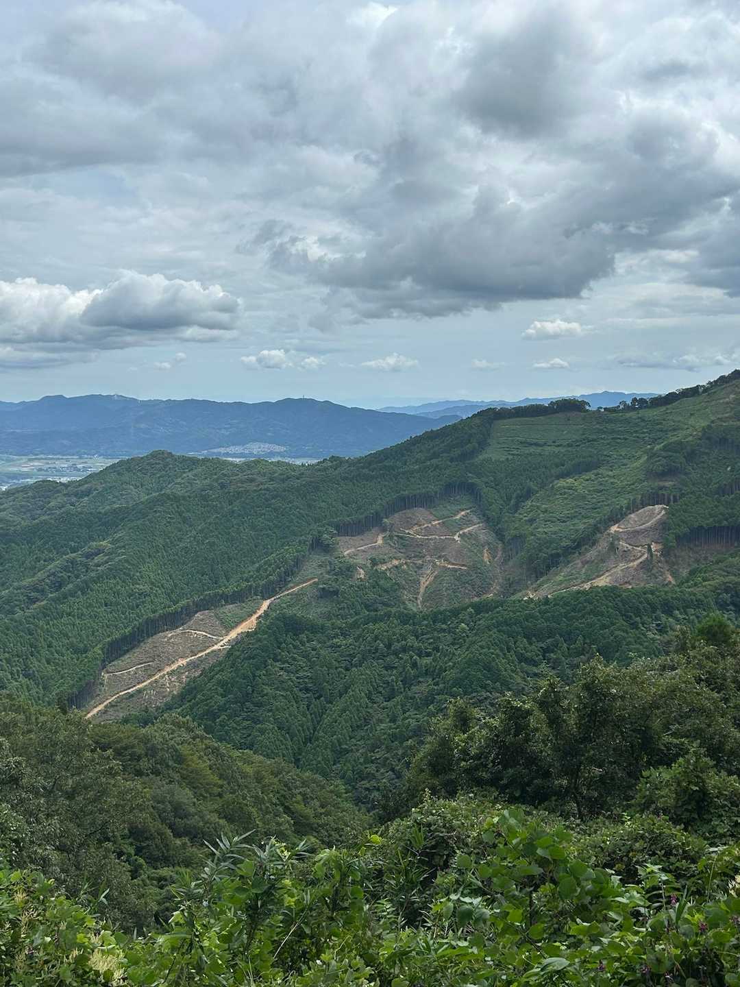 下り　伐採されてる山肌
林業の皆さんが山を育ててます
ありがとう😊