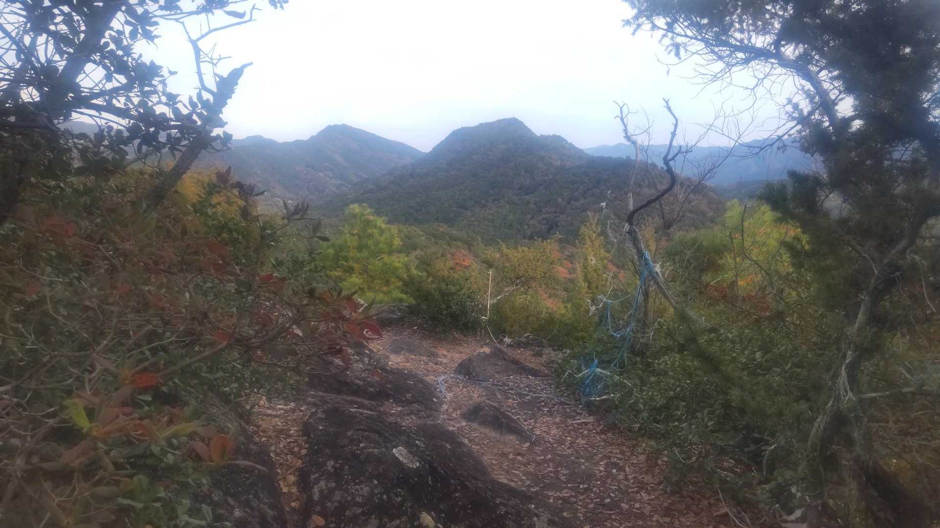 鳥屋城山 登山口-金毘羅神社-鳥屋城山 往復コースの写真