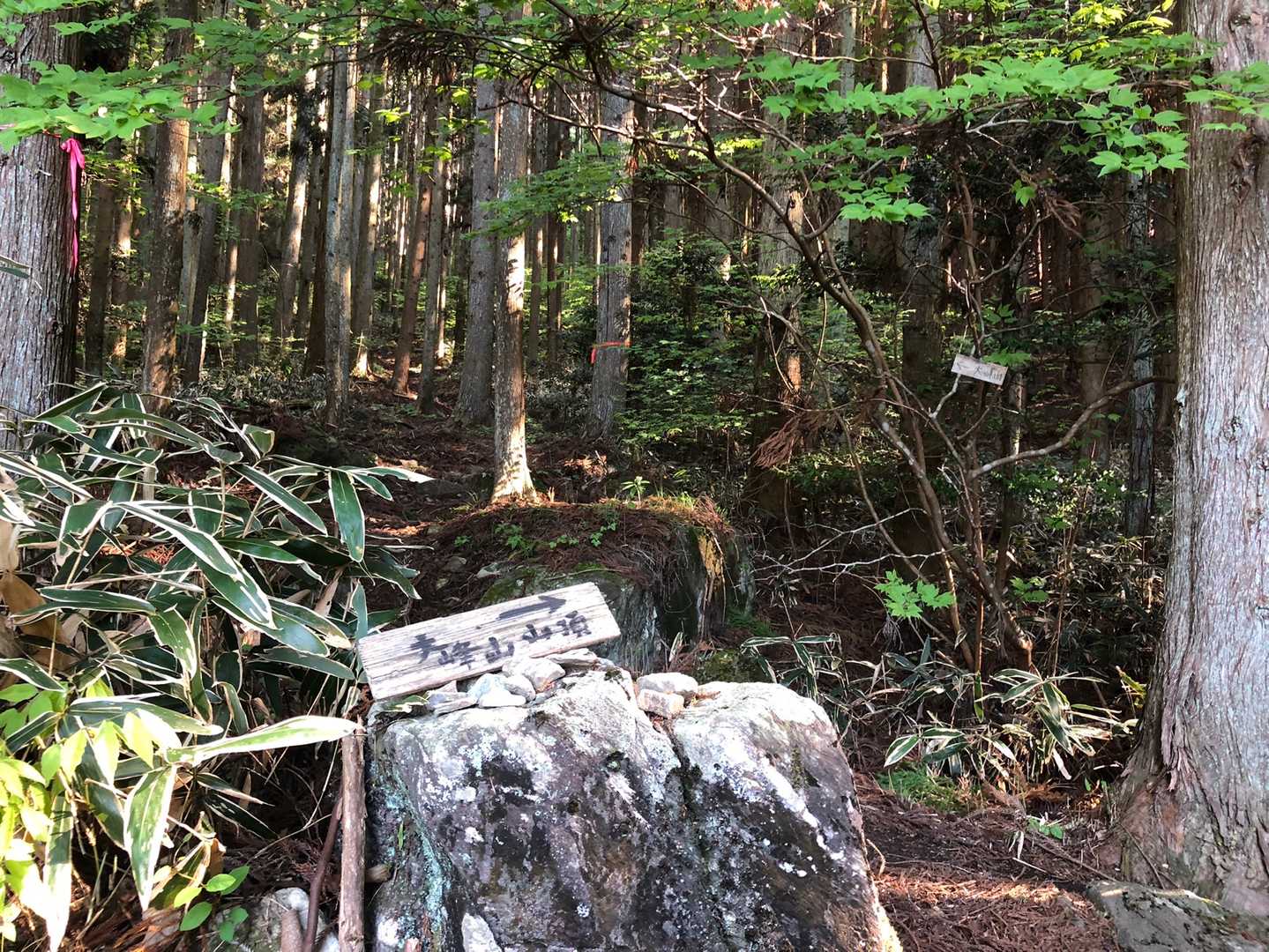 下川上登山口-大峯山-西大峯山-西大峯山登山口 周回コースの写真