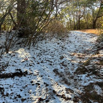朝から来たならもう少し雪があったんでしょうかね！