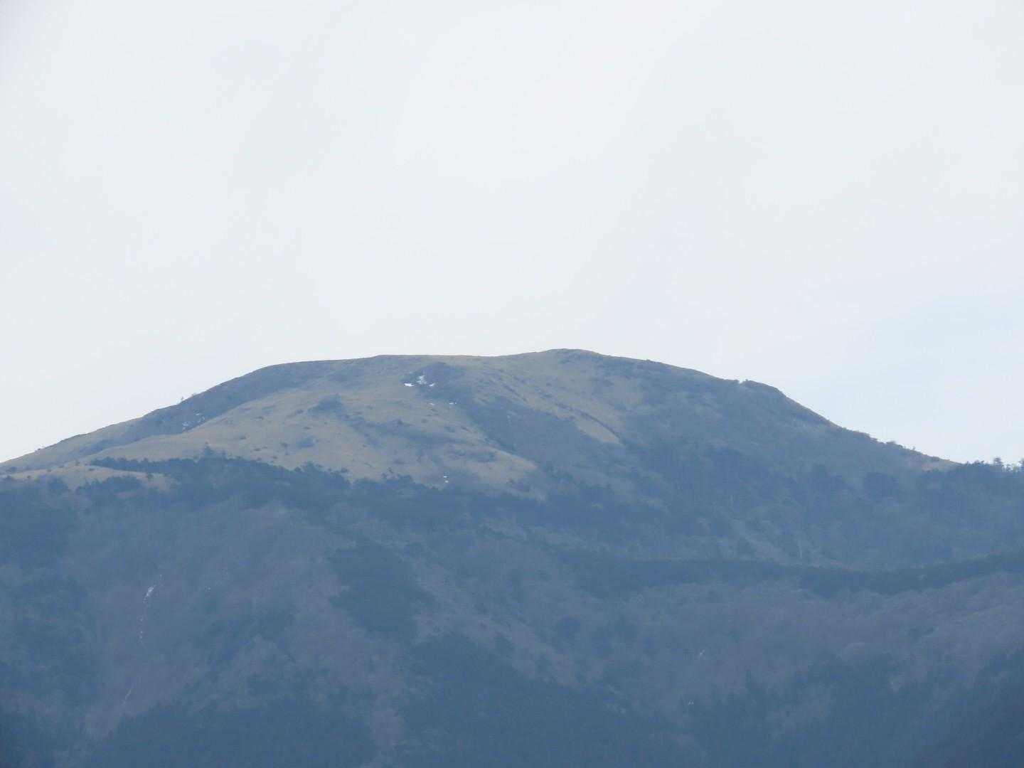 綱附森だったかな。