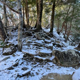 登りはツボ足でいけました
降りてくる方達はチェンスパ装着されていて、どの辺りから着けましたか？と聞くと、登りはツボ足、下山スタートからチェンスパ装着したと伺ったので我々もそうする事に⛓️