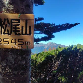分岐に一旦戻る。右にまくと迂回路があり、あっさりとハイマツ尾山登頂。YAMAPのルート通り行くのが正解⭕️