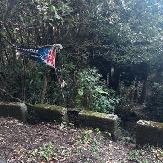 あら帆柱権現山神社への道標のバナーかな❓