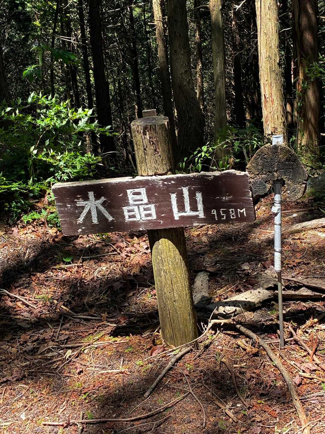 三森山-水晶山 周回コースの写真