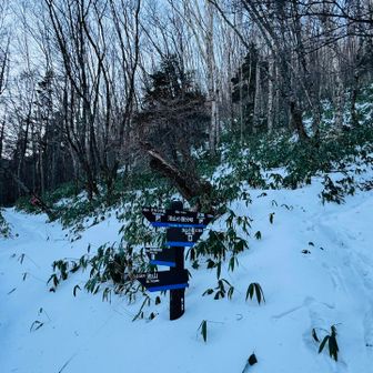 いつも歩く遊歩道はノートレース