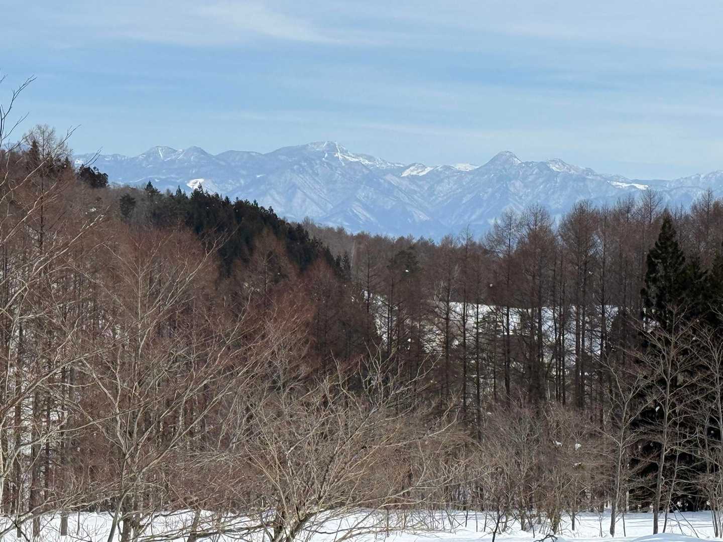 斑尾山 往復コースの写真