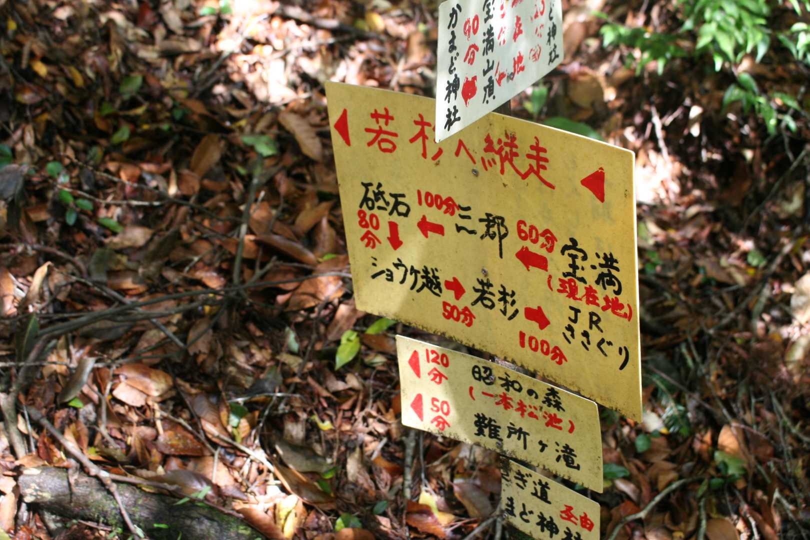 久しぶりにこの縦走路に入ります