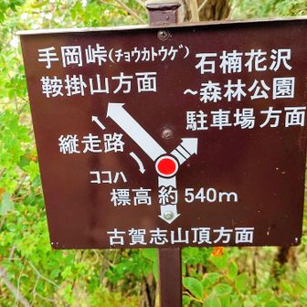 540mピーク