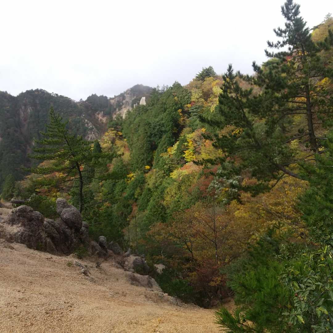 ちょっと紅葉
