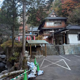 思ったより立派だ！