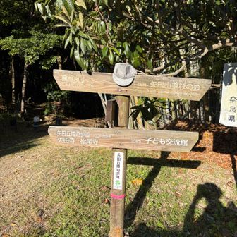 矢田丘陵遊歩道を北上