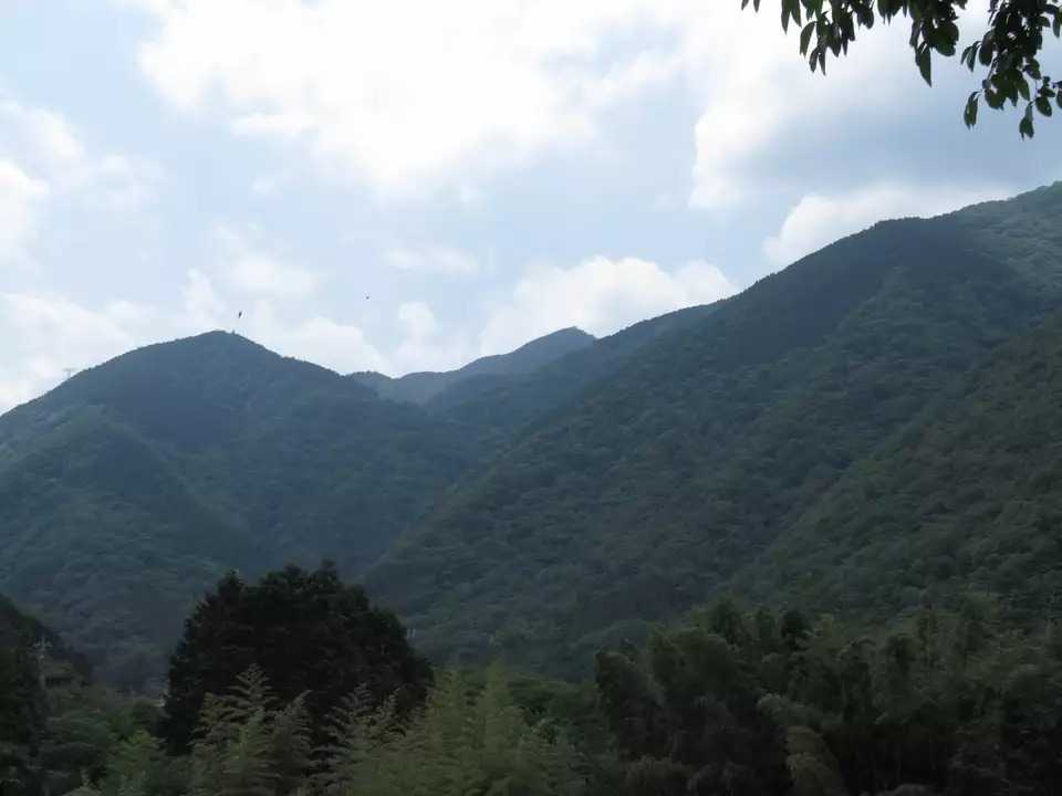 不老山の写真