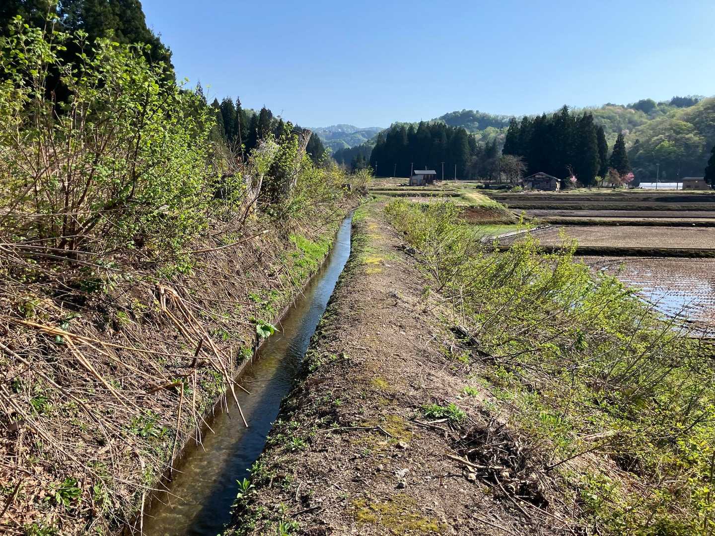 電気柵は冬場は外してるようで、まだない