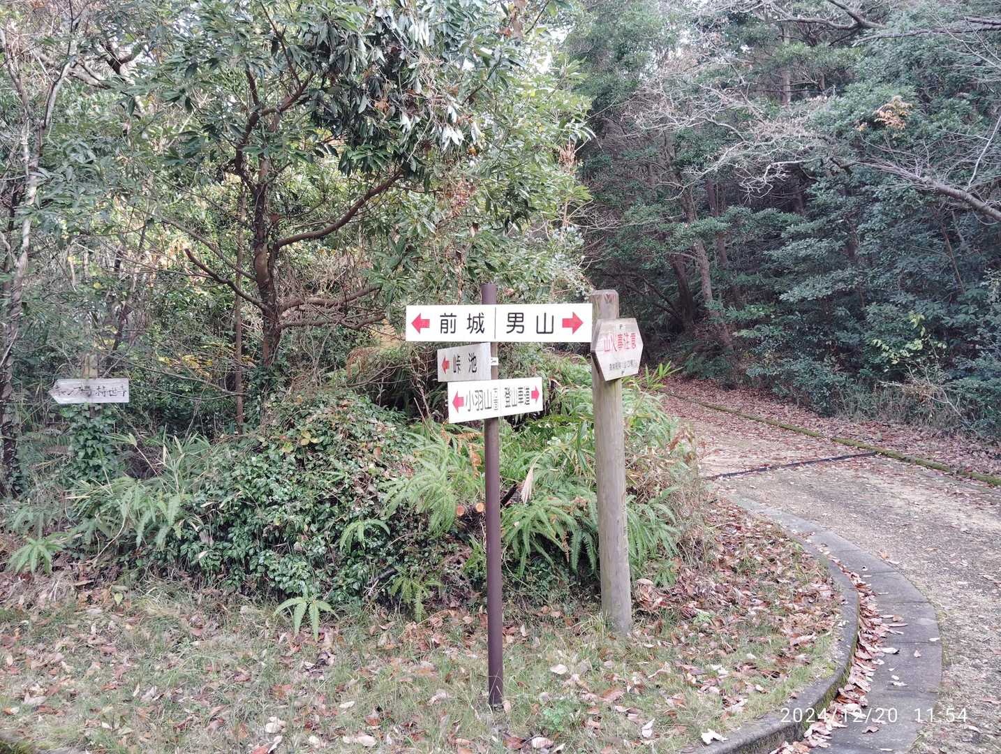 男山に向けて右に曲がり登山道を歩きました。