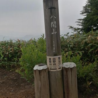 八間山　山頂　雨☂