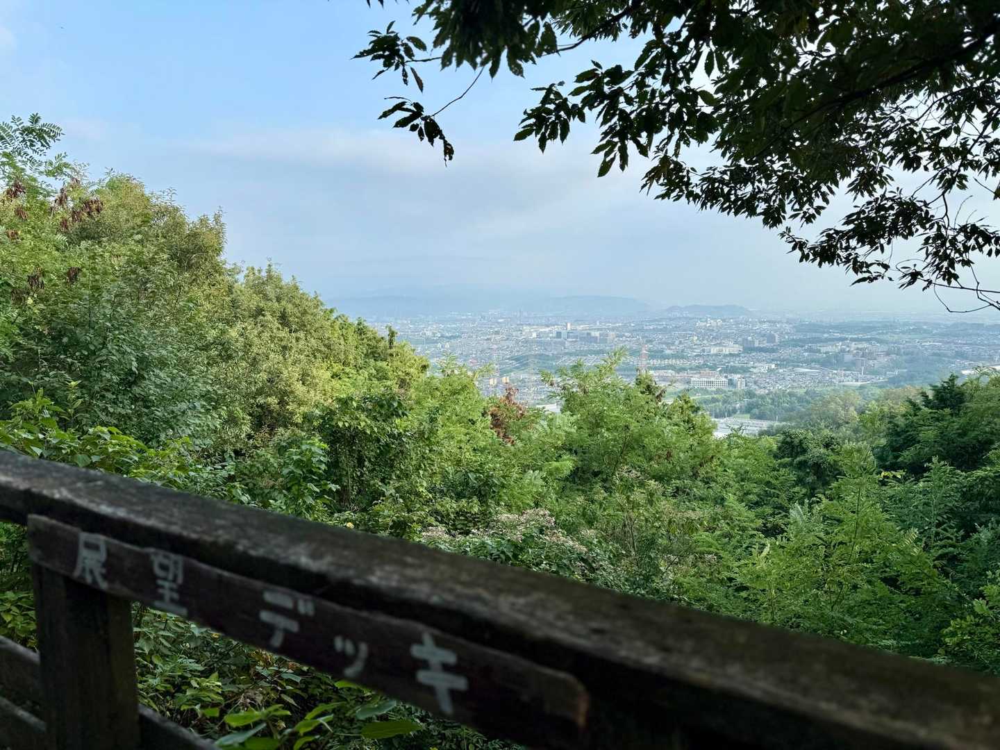 国見山 往復コースの写真