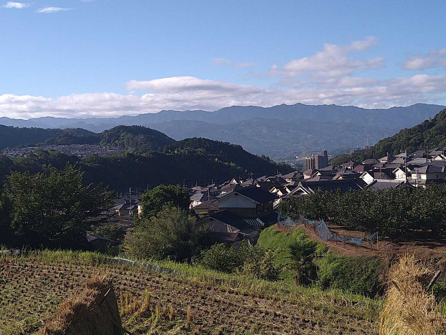 遠くに紀伊山地が望めます
田園風景と山…良いなー😄