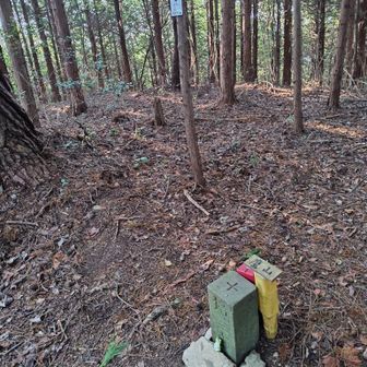 鷹林山(鷹山)　登頂！