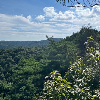 鷹ノ巣山