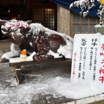 ちゃんと撫でて来ましたよ🐮
夢は願い続ければ叶うもの✨