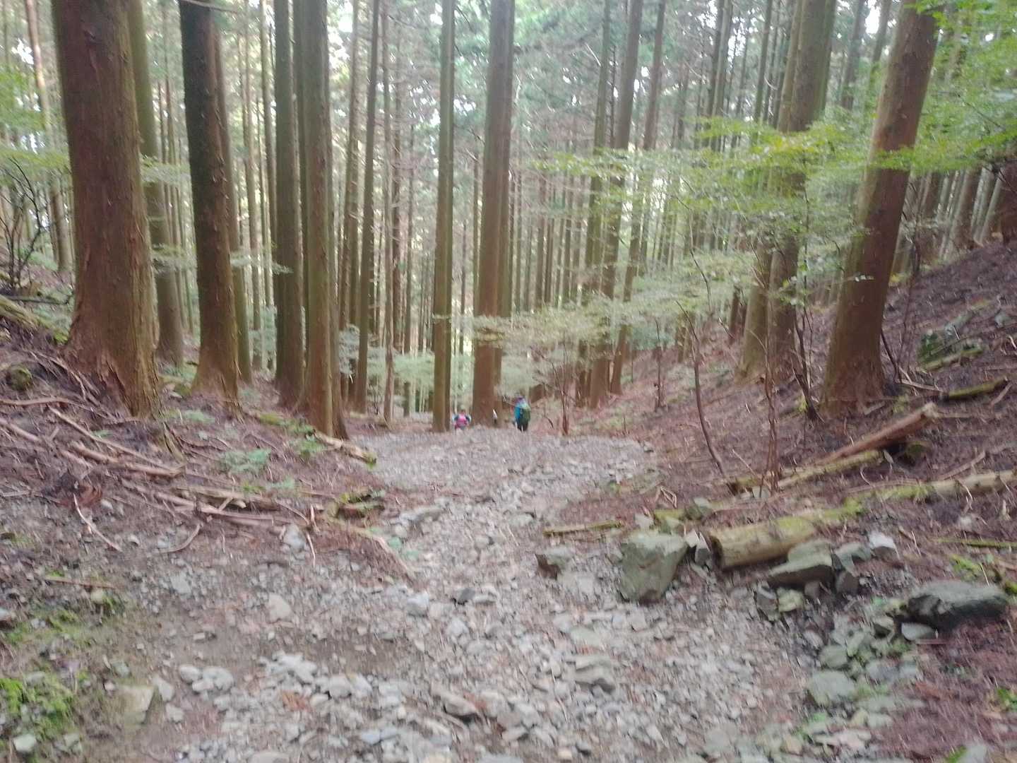 おうふ…。。久しぶりに視界の一部を奪われた…(ヽ´ω`)
忘れてたわー、入道ヶ岳だと毎回のようにやられるんだよなぁ。神様だと信じたい。
前に山頂前で後ろから「あと少し…」って言われた時は男だったが…、何となく女性のイメージが強い。
