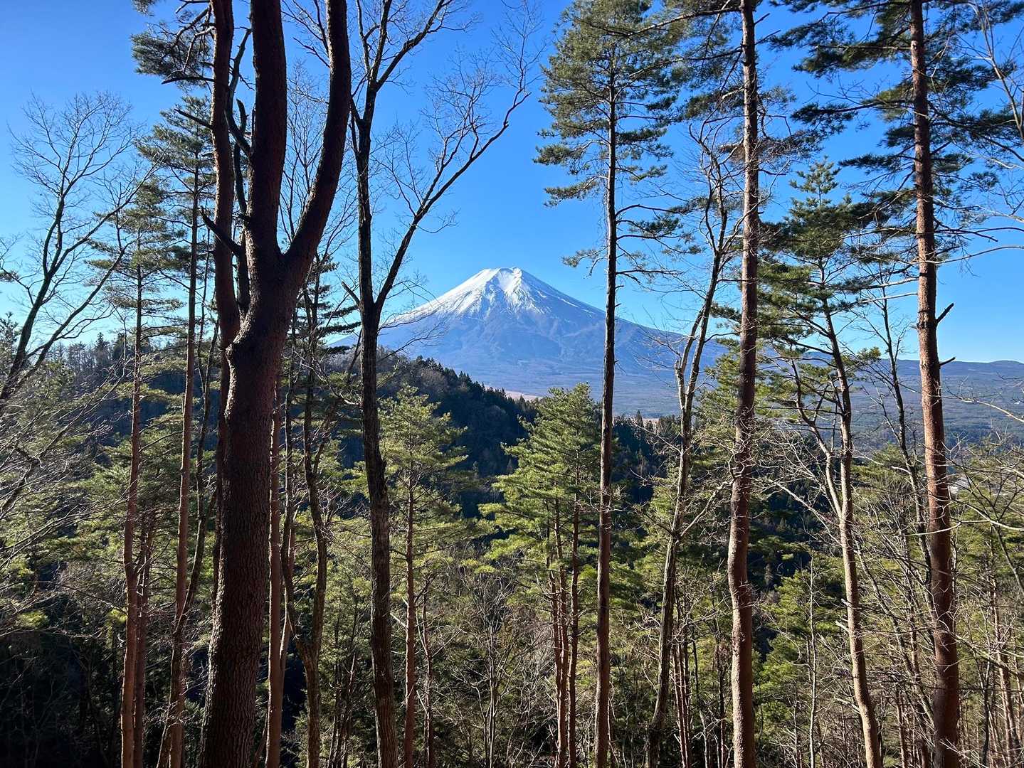 1番よく見えた🗻