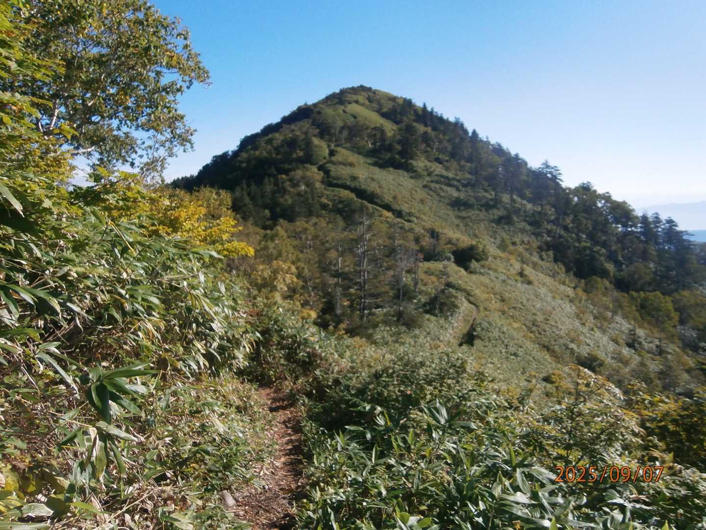 黒姫山見えた
